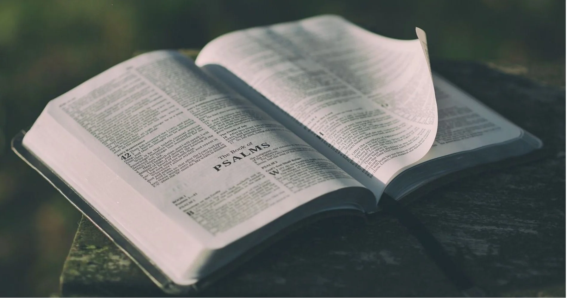 Bible